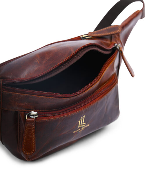 Waist / Chest bag