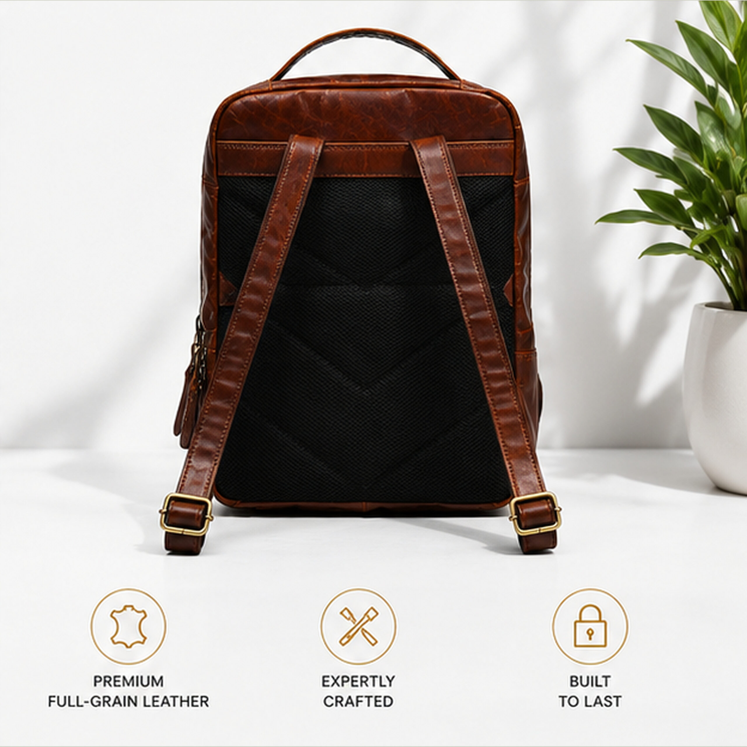 LLL_BrownBP_P4_BackDetail_4K